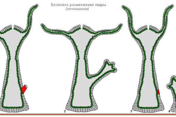 Кракен зеркало gigageek ru