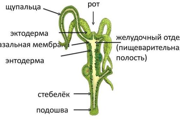 Кракен маркетплейс kr2web in