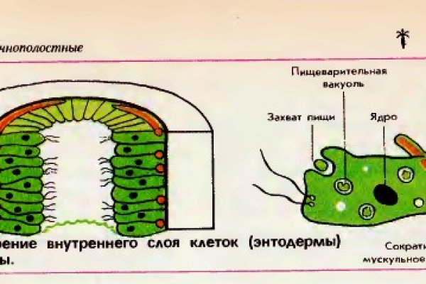 Kraken даркнет рынок